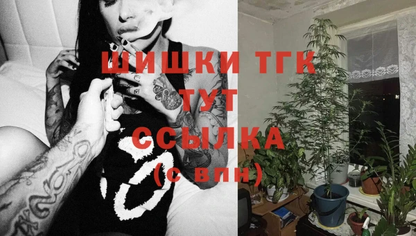 тгк Богородицк
