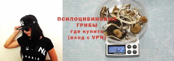 тгк Богородицк
