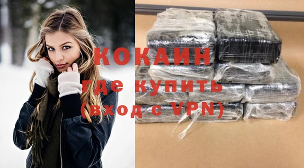 тгк Богородицк