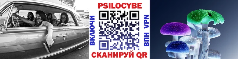 Купить где  Гагарин  Галлюциногенные грибы ЛСД 